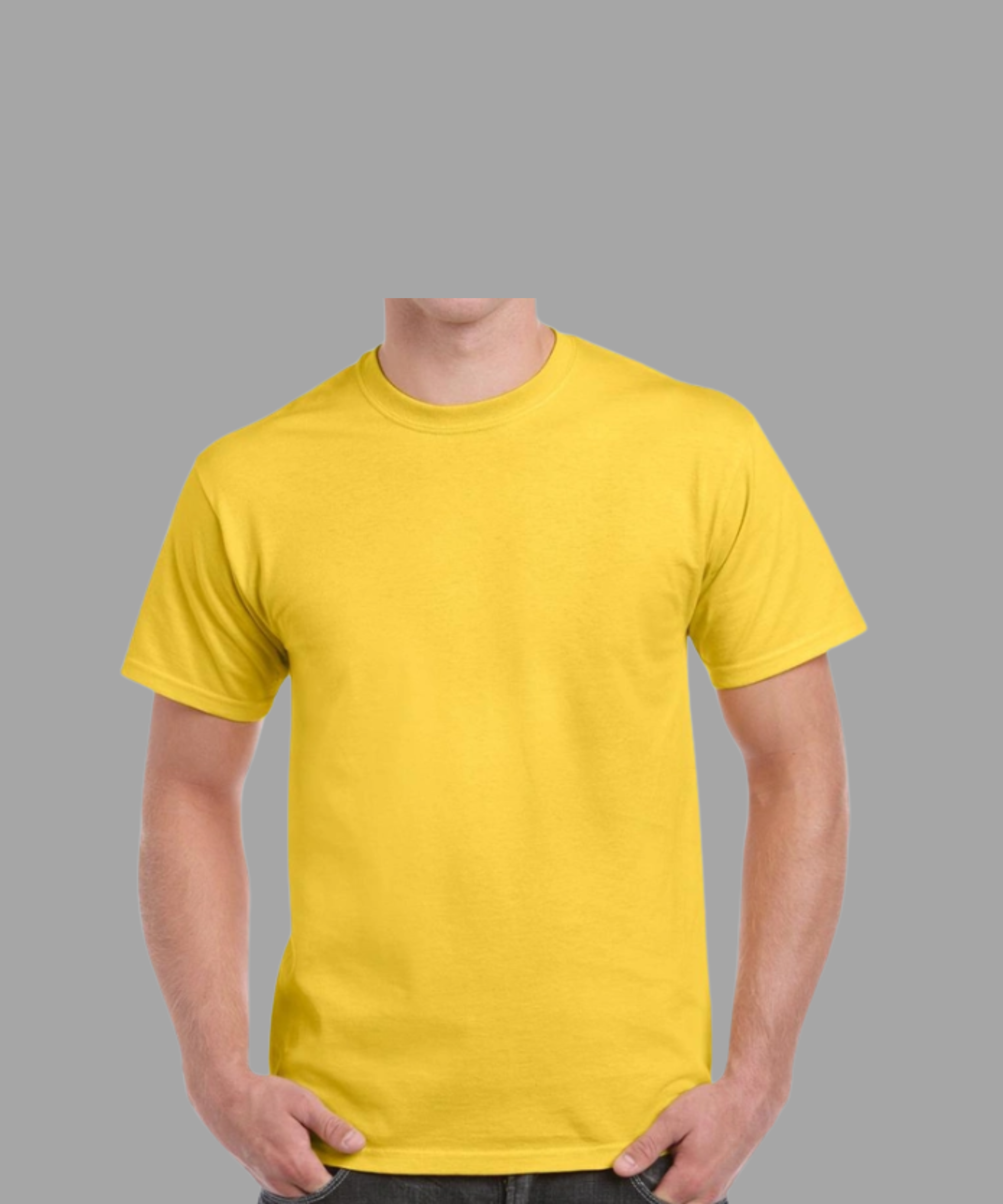 T-SHIRTS REGULAR VIERGES 100% COTON