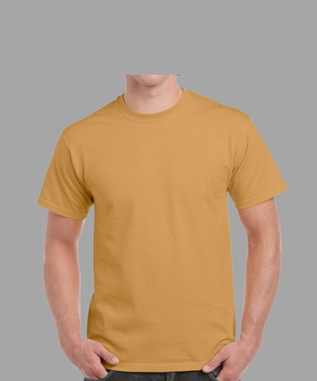 T-SHIRTS REGULAR VIERGES 100% COTON