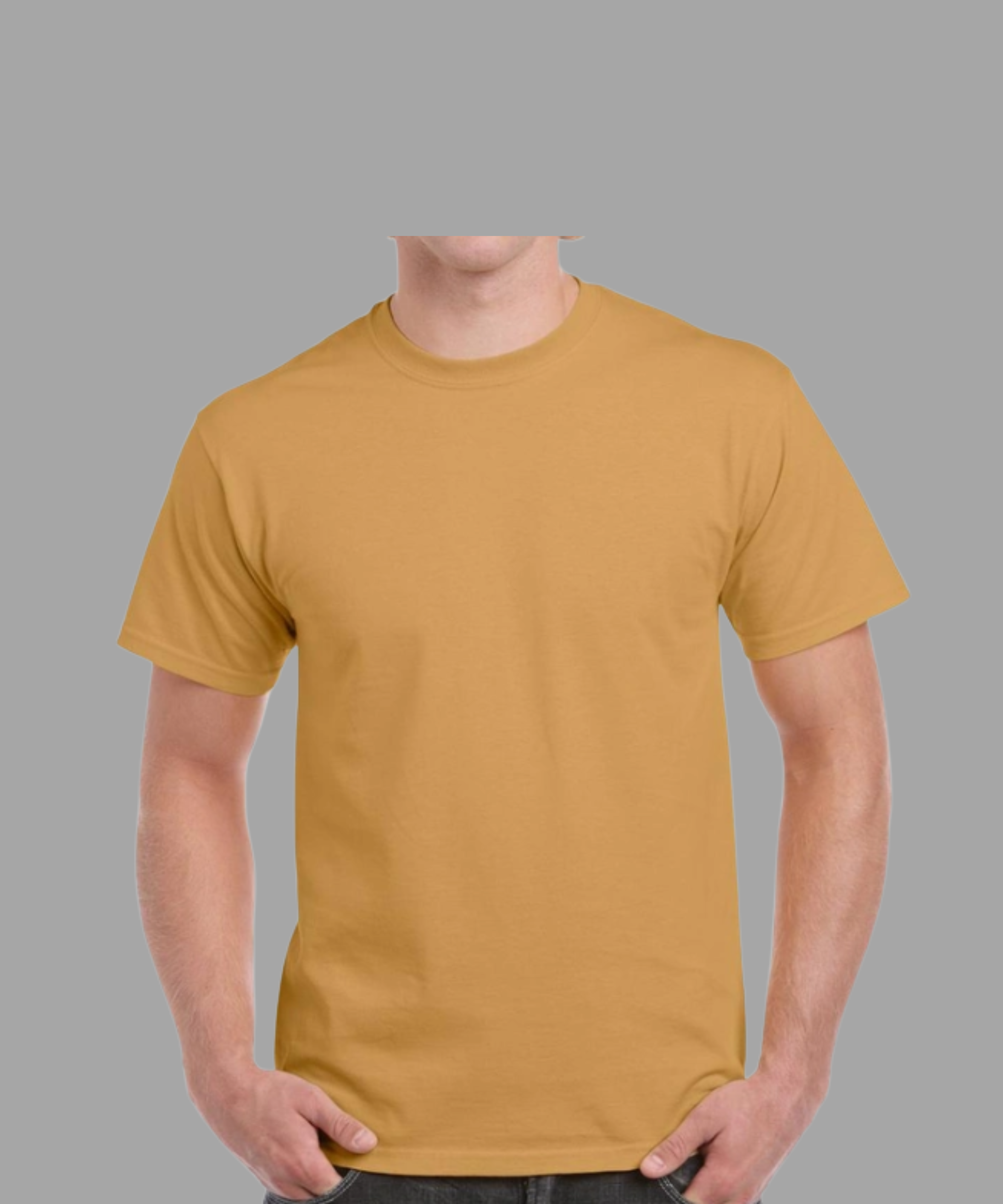 T-SHIRTS REGULAR VIERGES 100% COTON