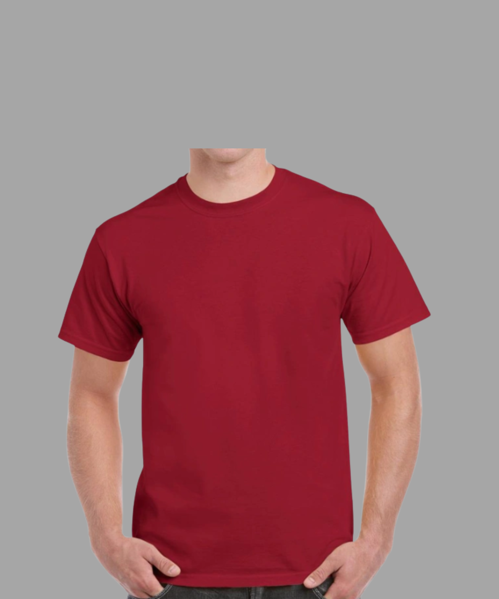 T-SHIRTS REGULAR VIERGES 100% COTON